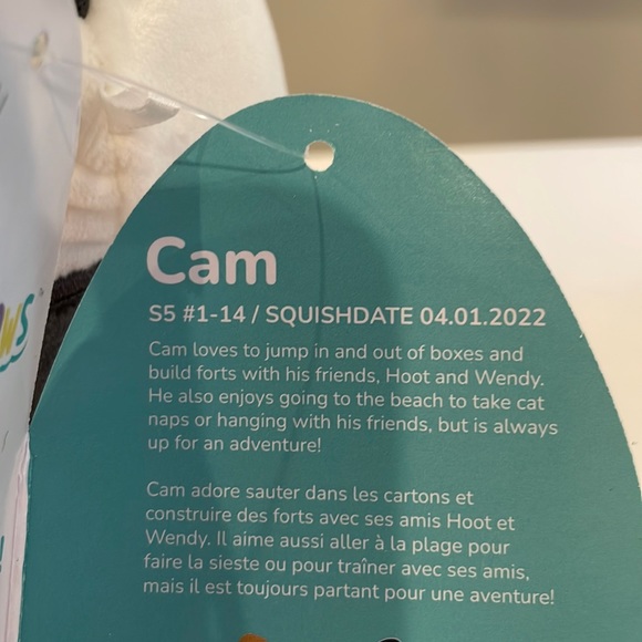 NWT 5” Cam the Calico Cat with Visor Squishmallow - Picture 4 of 4